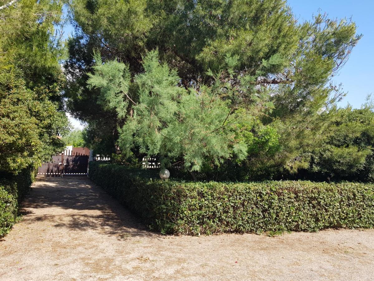 Villa Cino Punta Prosciutto Exterior foto