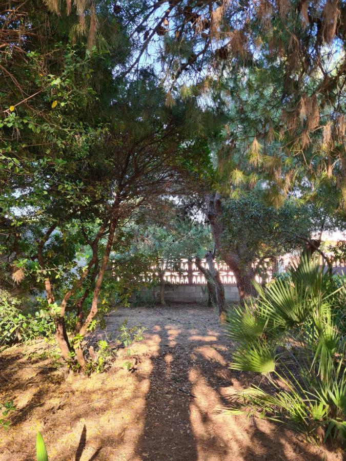 Villa Cino Punta Prosciutto Exterior foto