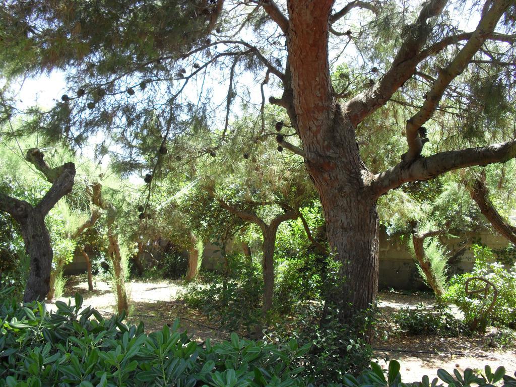 Villa Cino Punta Prosciutto Exterior foto